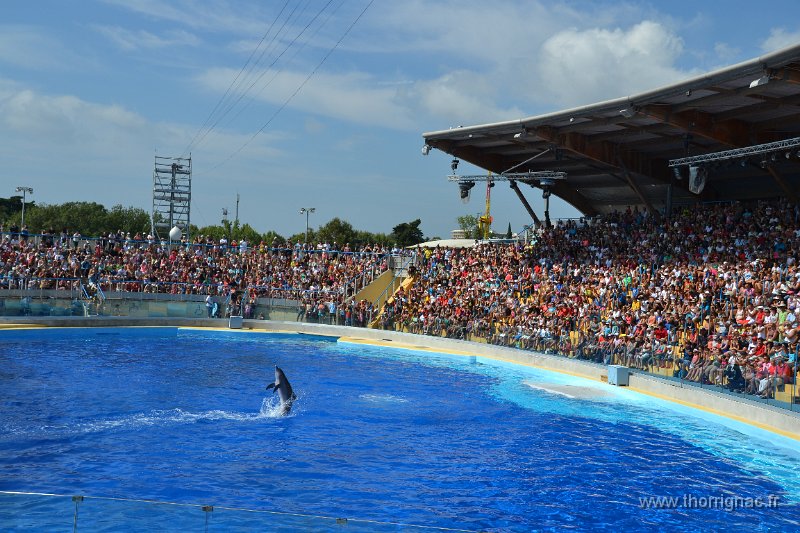 Marineland aout 2014 27.JPG - Marineland - Parc d'attractions aquatiques - Antibes - Août 2014